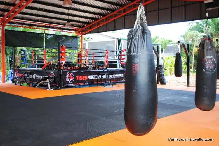 One Week Training At Tiger Muay Thai Camp Phuket Thailand