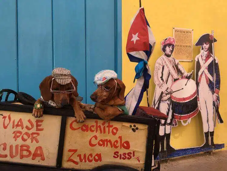 Why Havana Is A “Must Visit” For 2017-004