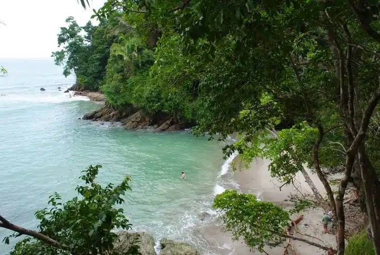 Beste Dingen Om Te Doen In Manuel Antonio Costa Rica