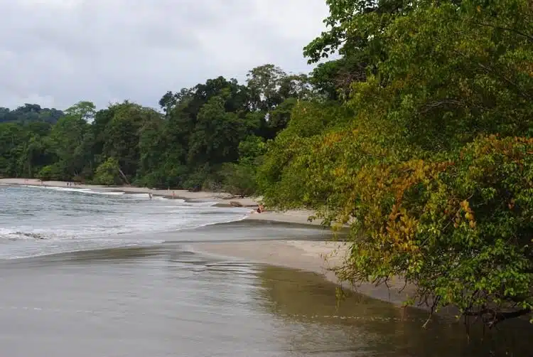 Das Beste, Was Man In Manuel Antonio Costa Rica Tun Kann
