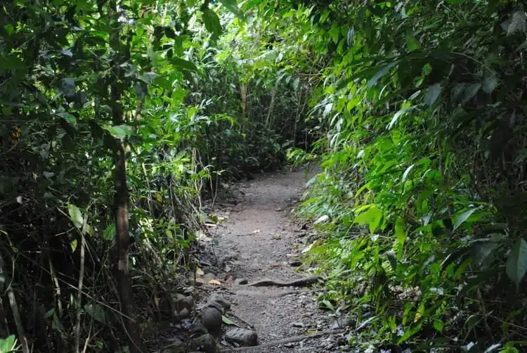 Les Meilleures Choses à Faire à Manuel Antonio Costa Rica