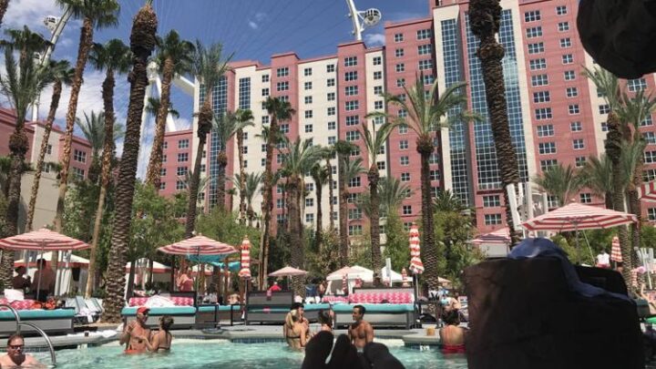 Best Hotels In Las Vegas The Flamingo Peanuts Or Pretzels