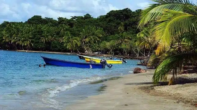 Puerto Viejo, Manzanillo Und Der Strand Von Cocles