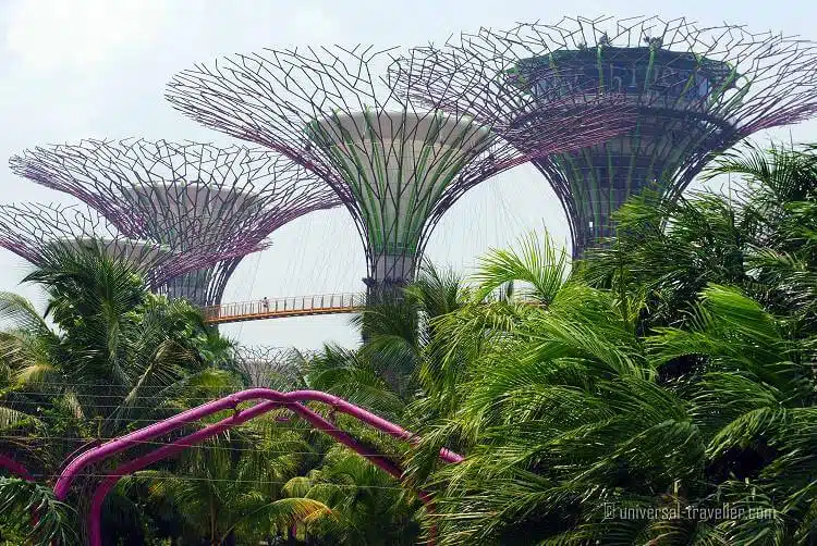 14 Things to do for Free in Singapore 14 Things to do for Free in Singapore