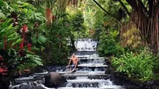 Arenal Volcano and Tabacon Hot Springs Costa Rica