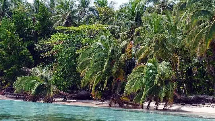 Bocas Del Toro