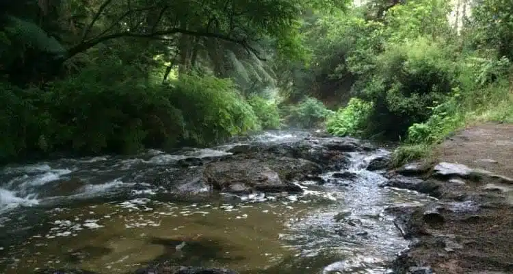 Kerosene Creek