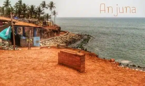 How to Explore Goa, India like a Local