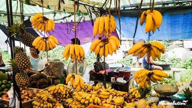Bananas and Pineapples hanging in the Manila market.