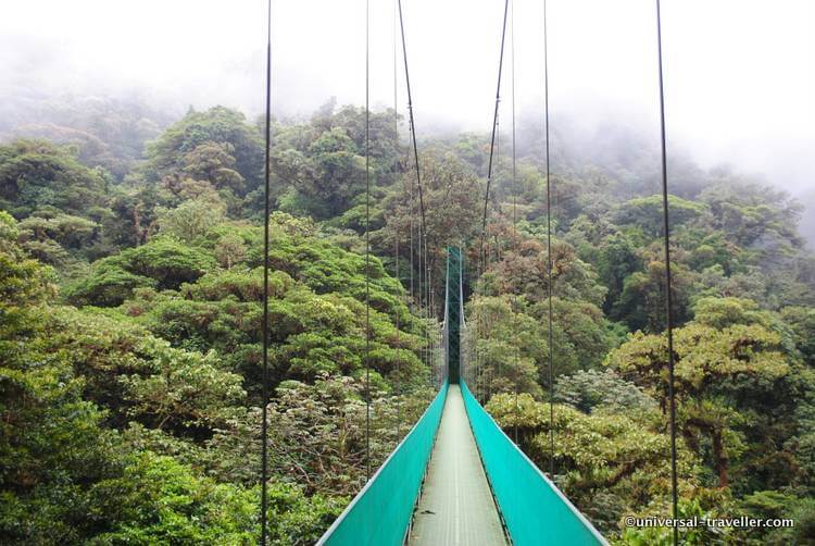 Qué Hacer En Monteverde