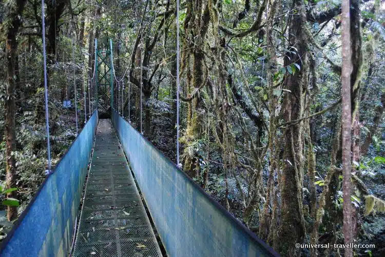 Qué ver y hacer en Monteverde Costa Rica 2 What To Do In Monteverde