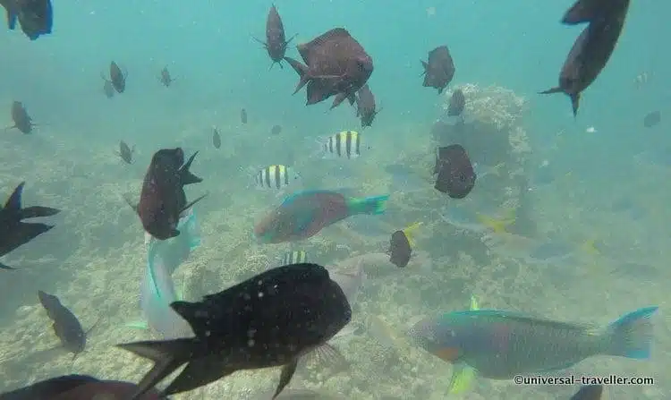 Le Migliori Cose Da Fare A Palawan, Filippine