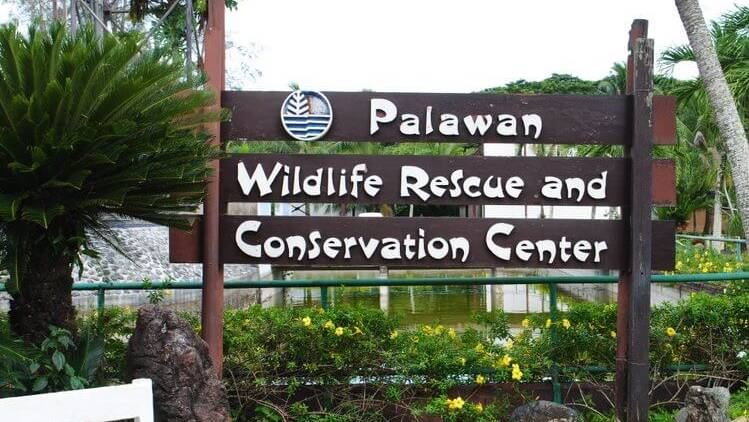 Fattoria dei coccodrilli Palawan Wildlife Rescue Center a Puerto Princesa
