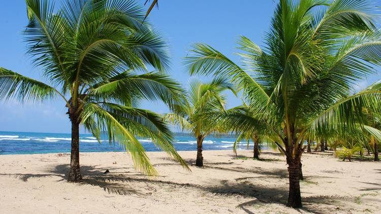 what to do in puerto viejo costa rica