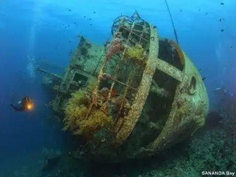 Palawan’s Most Beautiful Diving Sites 3 Palawan’s Most Beautiful Diving Sites