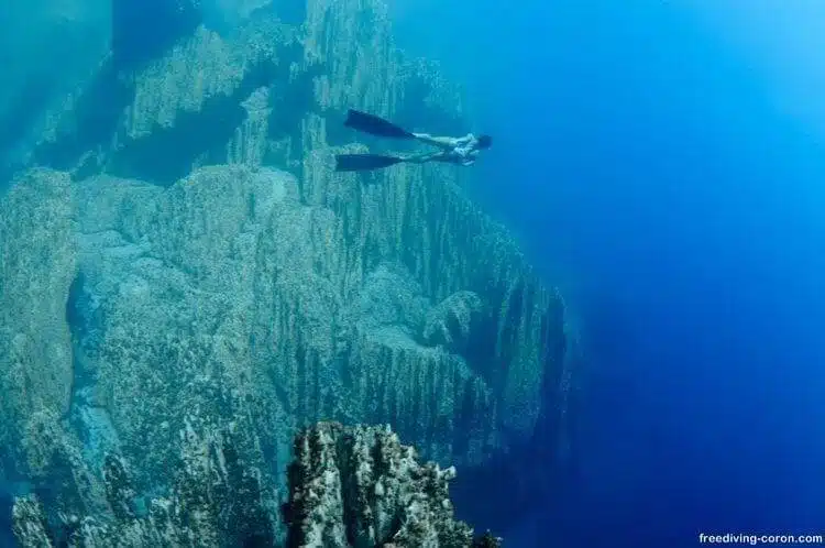 Palawan’s Most Beautiful Diving Sites 4 Palawan’s Most Beautiful Diving Sites