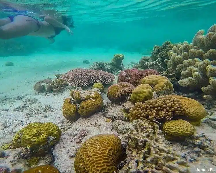 Palawan’s Most Beautiful Diving Sites 2 Palawan’s Most Beautiful Diving Sites