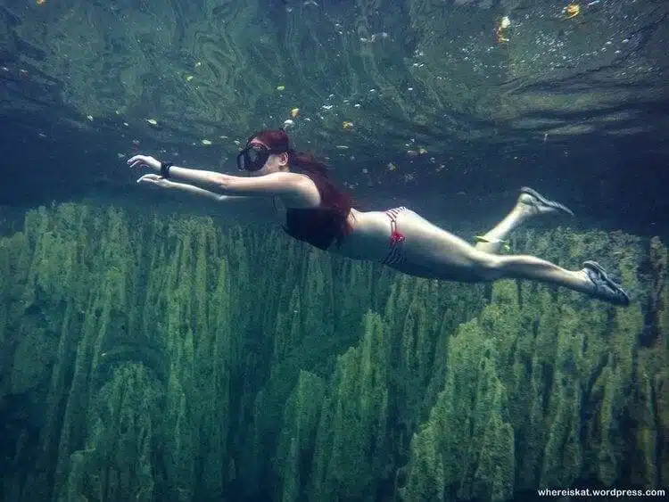 Palawan’s Most Beautiful Diving Sites 1 Palawan’s Most Beautiful Diving Sites