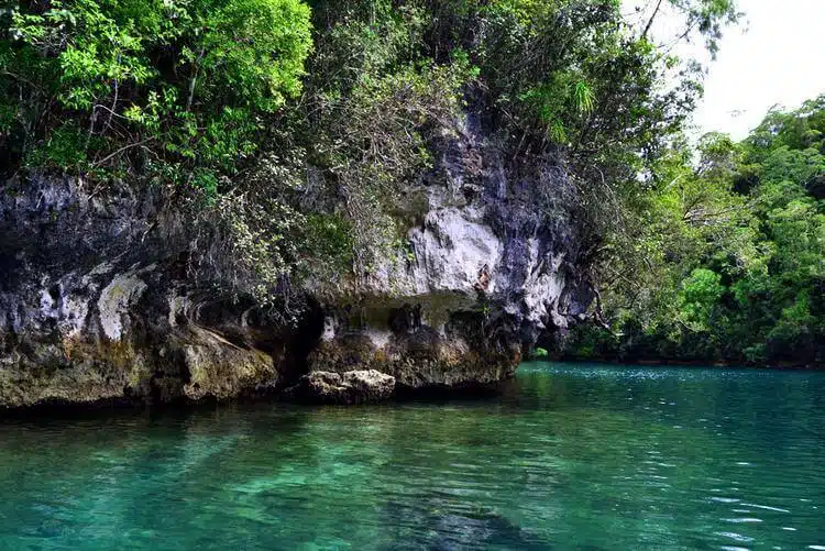 Les Meilleures Choses à Faire à Siargao