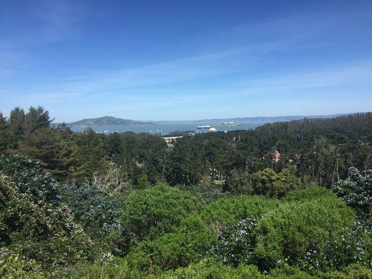 The Presidio In San Francisco