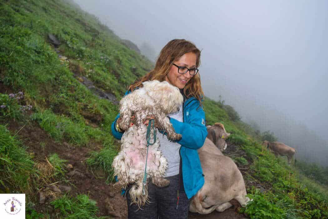 Arzo Travels Hiking In The Fog On Ebenalp 1