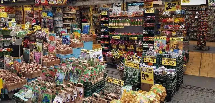 Best things to do in Amsterdam 32 places to see in amsterdam and best places to visit in amsterdam including the flower market with the largest collection of flowers
