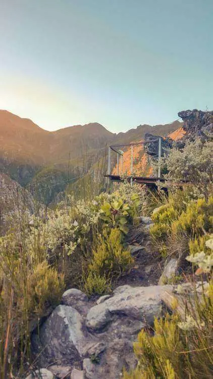 Scopri I Canopy Tour In Tutto Il Sudafrica