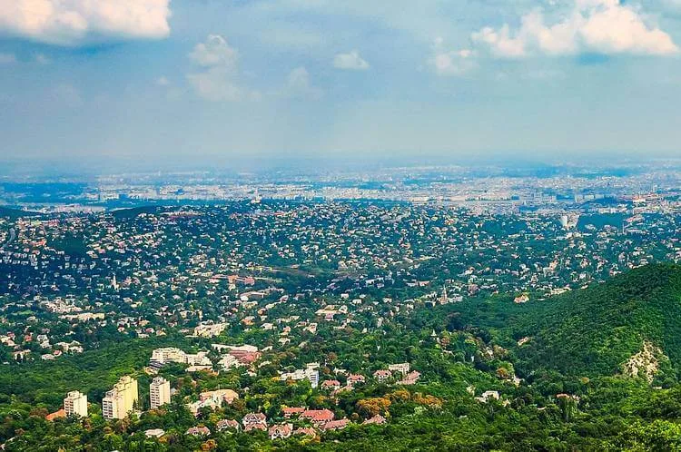 Wanderer Genießen Einen Malerischen Naturpfad Durch Den Wald Bei Normafa In Den Budaer Hügeln