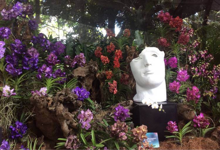Wat Te Doen In Colombia Medellín Bloemenfestival