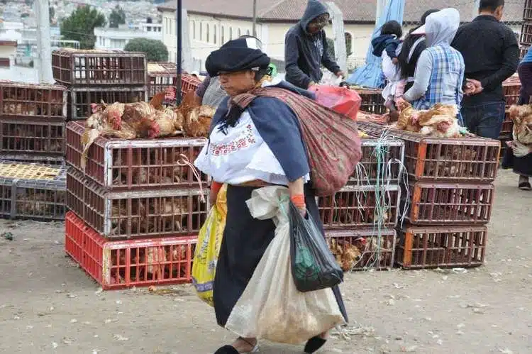 Mercado De Otavalo 2
