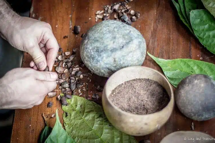 Recorrido Por El Chocolate De Pacari