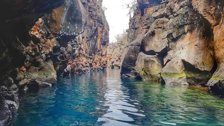 Adventure Vacations Galapagos Islands