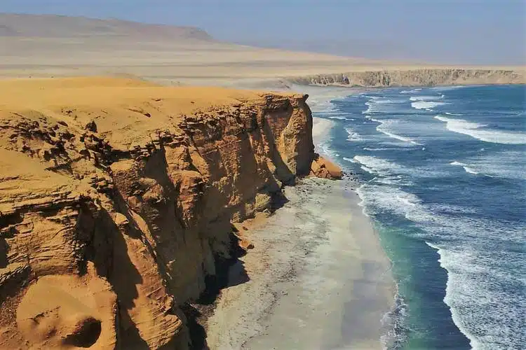 O Melhor Do Peru Reserva Nacional De Paracas