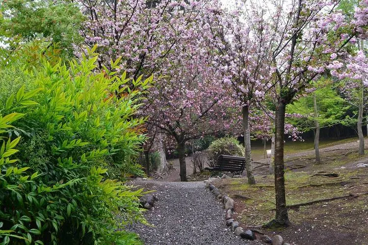 I Migliori Luoghi Da Visitare In Cile Parco Metropolitano-Santiago-Cile