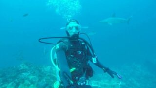 galapagos Diving at Kickers Rock Galapagos Shark