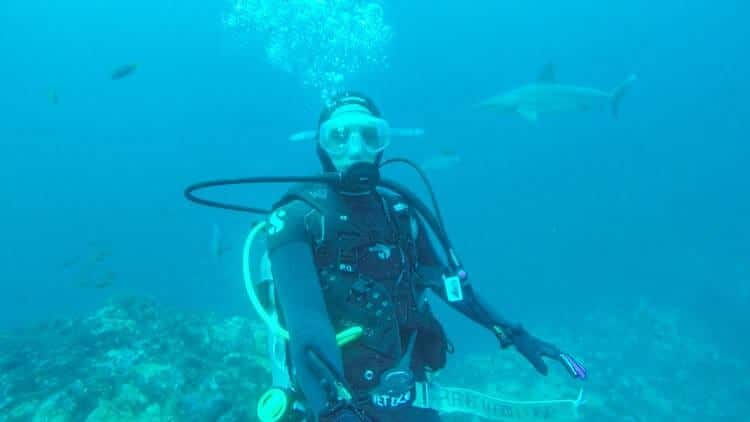 galapagos Diving at Kickers Rock Galapagos Shark