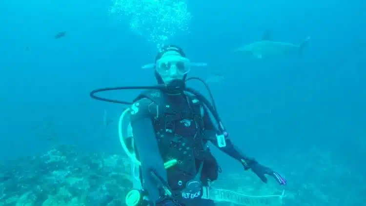 Galapagos Diving At Kickers Rock Galapagos Shark