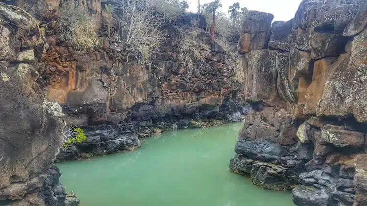 Circuits Dans Les îLes Galapagos