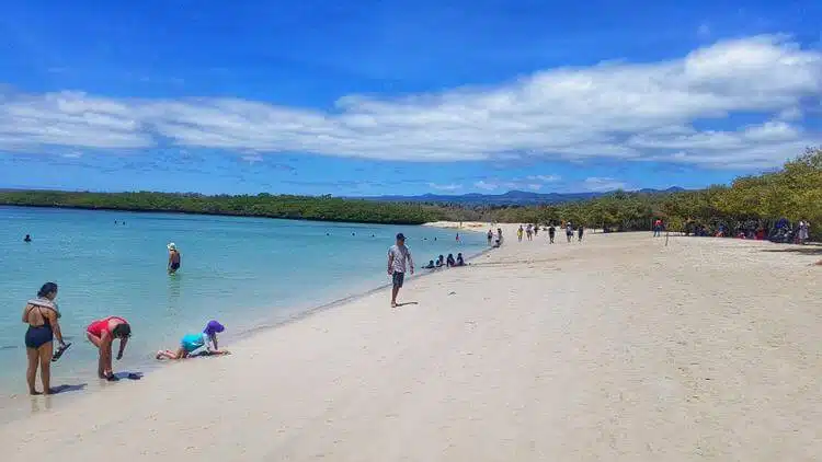 Galapagos-Touren Playa Tortuga Bay