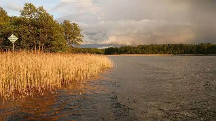 Hausboot Mieten Mecklenburgische Seenplatte
