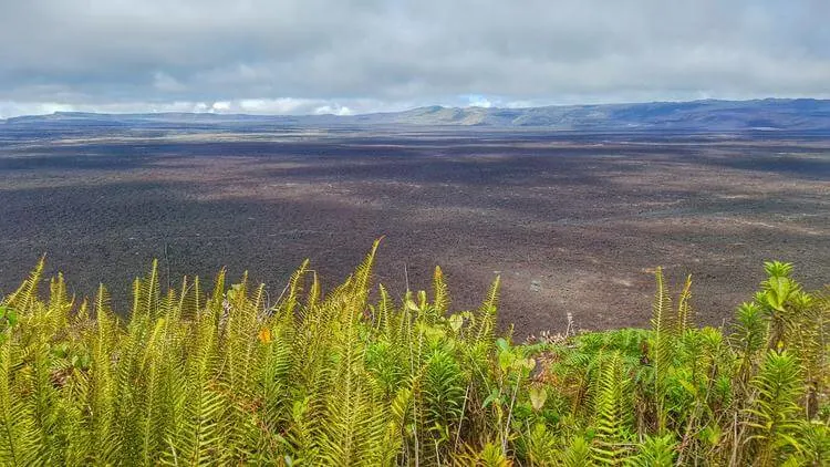 sierra negra volcano isla isabela
