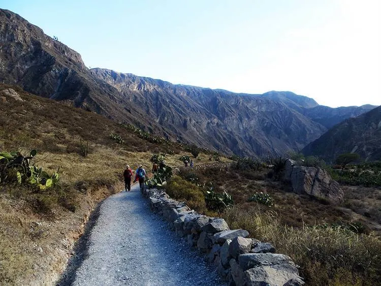 Top Things To Do In Peru Colca-Canyon-Hiking