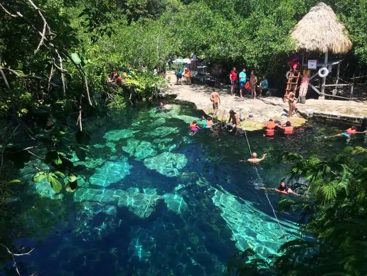 Die Schönsten Cenoten In Tulum Mexiko (Cenote Guide 2020) 26 Tulum Tours Mexico