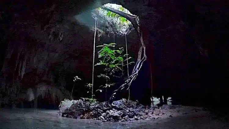 Tulum En Cenote Tour