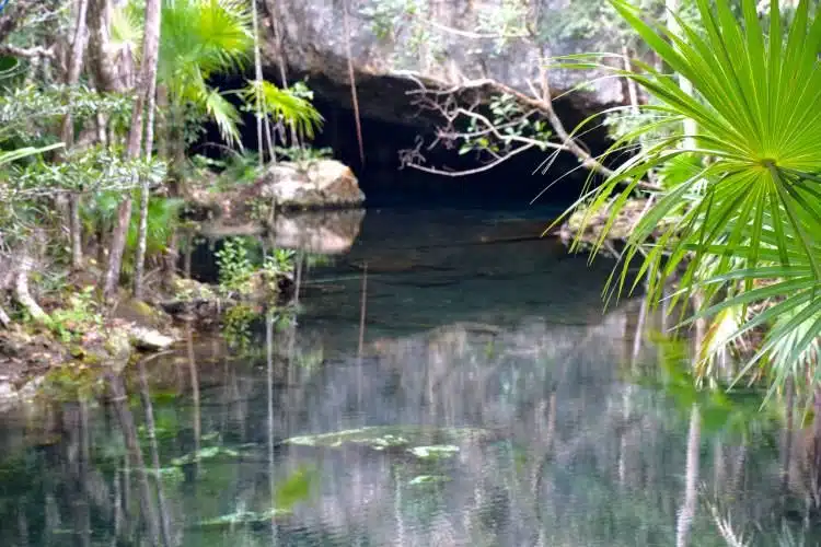 Die Schönsten Cenoten In Tulum Mexiko (Cenote Guide 2020) 28 Cenote Tulum Playa Del Carmen
