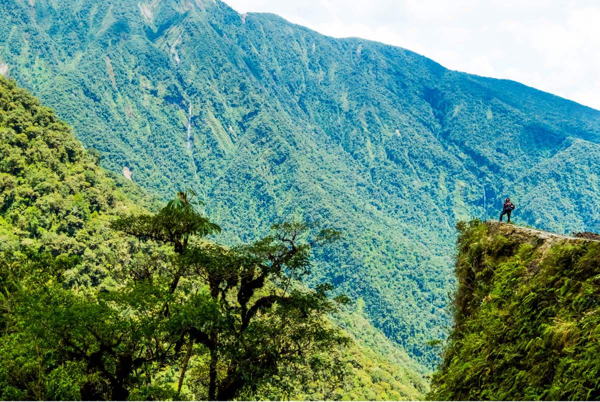 Carretera De Yungas Bolivia