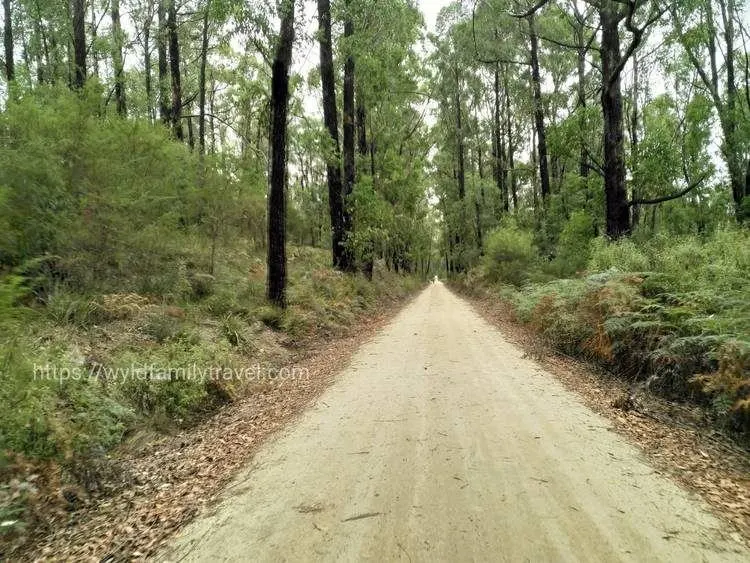 Grand Ridge Rail Trail Australia