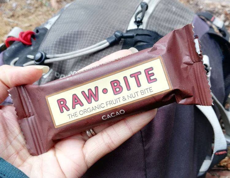 Road Trip Snack Ideas Raw Bite Energy Bar