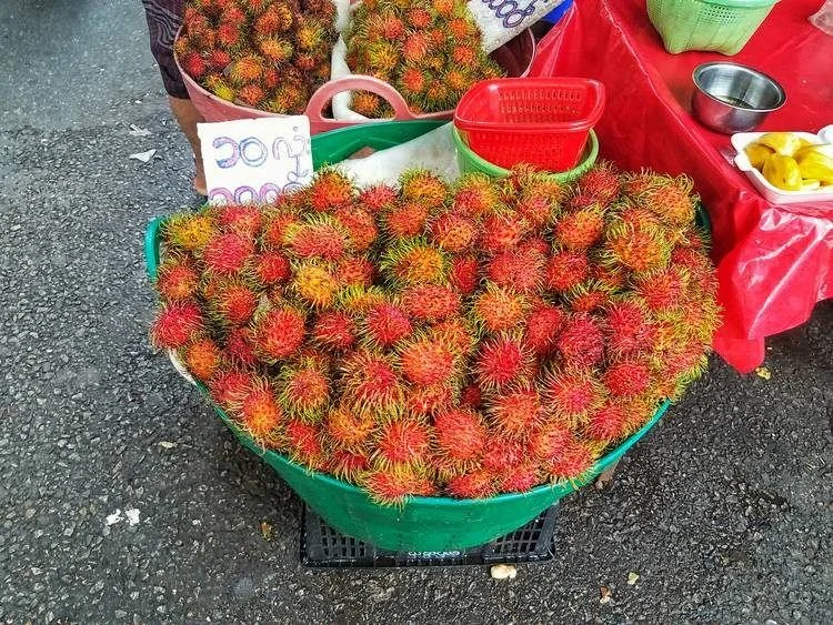 Road Trip Snack List Myanmar Rambutans