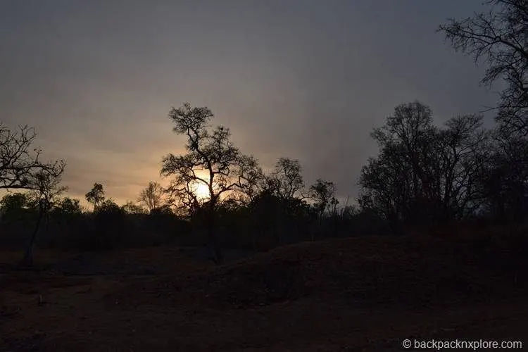 Tiger Sanctuary In India